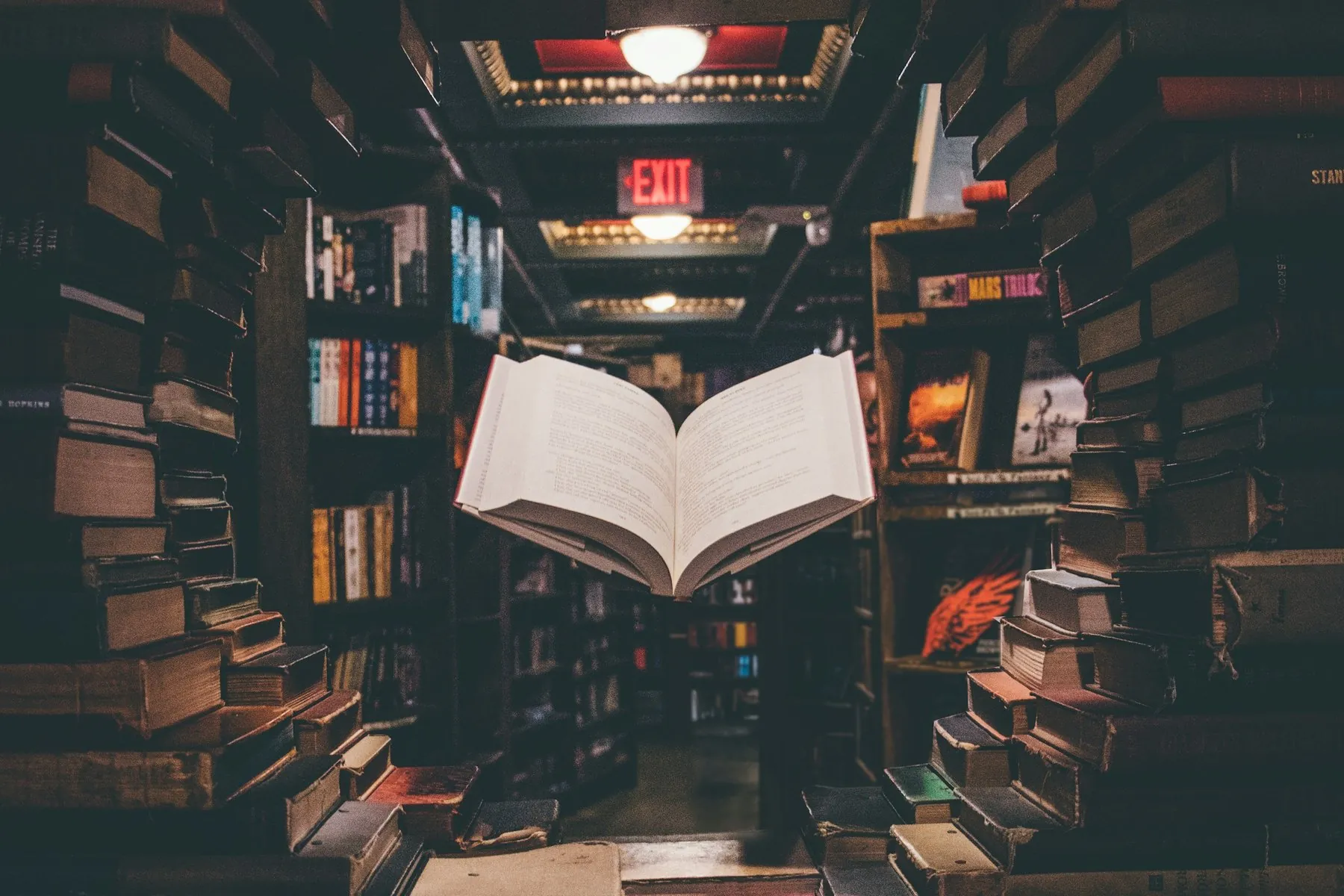 Teancuri de broșate literare într-un culoar de bibliotecă, lectură de după Micul Prinț